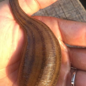 ����8��·������ĳ���