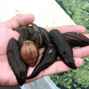 ����8��·������ĳ���