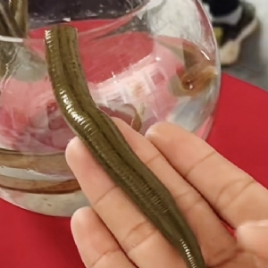 ����8��·������ĳ���