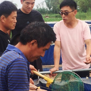 ��ֳ����