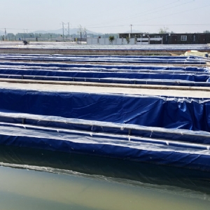 ��ֳ����