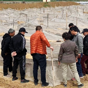 ��ֳ����