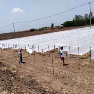 ��ֳ����