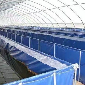 ��ֳ����