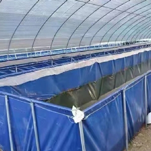 ��ֳ����