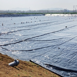 ��ֳ����