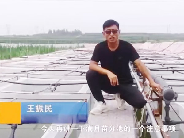 天游8线路检测中心满月苗的注重事项