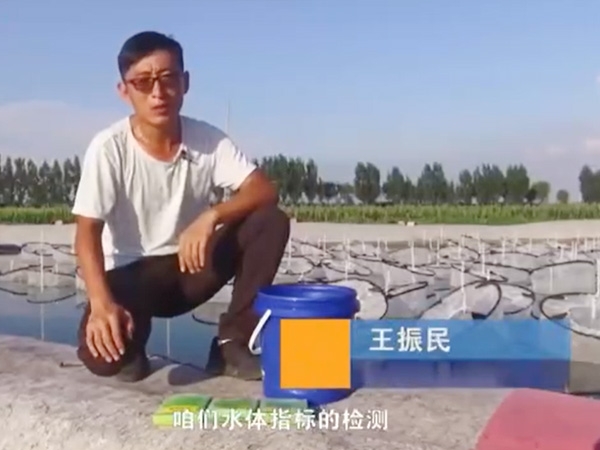 ��ֳ����-ˮ����