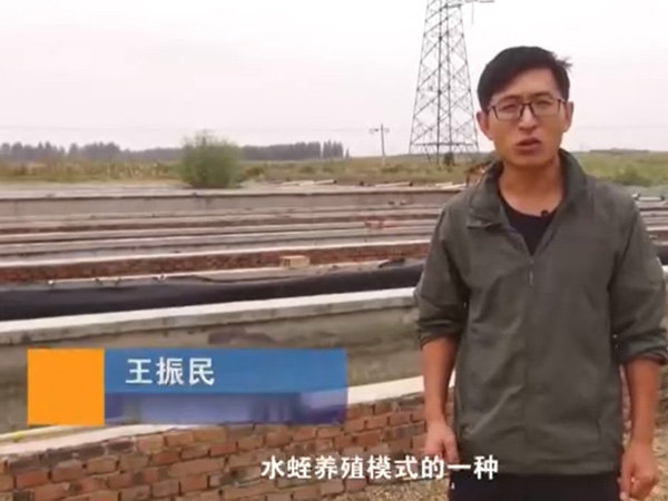 ����ģʽ����