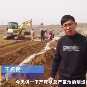 ���������������Ҫ��