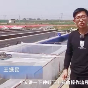 ��������ǰ����