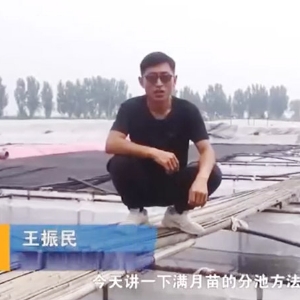 ����8��·�������������ķֳ�Ҫ��