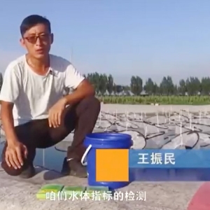 ��ֳ����-ˮ����