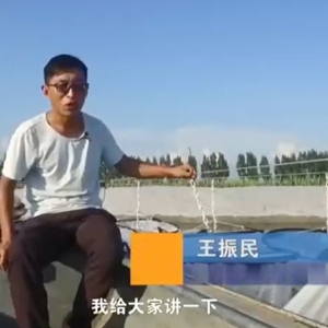 ��ֳ����-��������