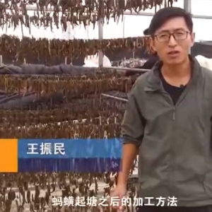 ����8��·������ļӹ�Ҫ��