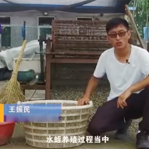 ѡַ-ʳ��ѡ��