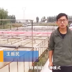 ΢ѭ�����ϵͳ����