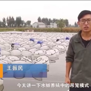 ����ģʽ����