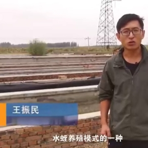 ����ģʽ����