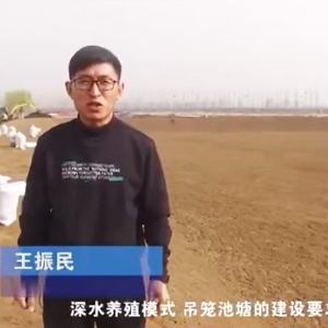 ��ˮģʽ��������