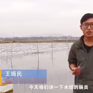 ����8��·������������ͳ��ױ������ɼ�����Ҫ��