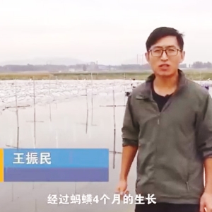 ����8��·��������ջ�����