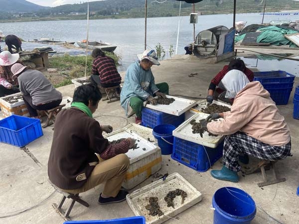 ��ֳ����