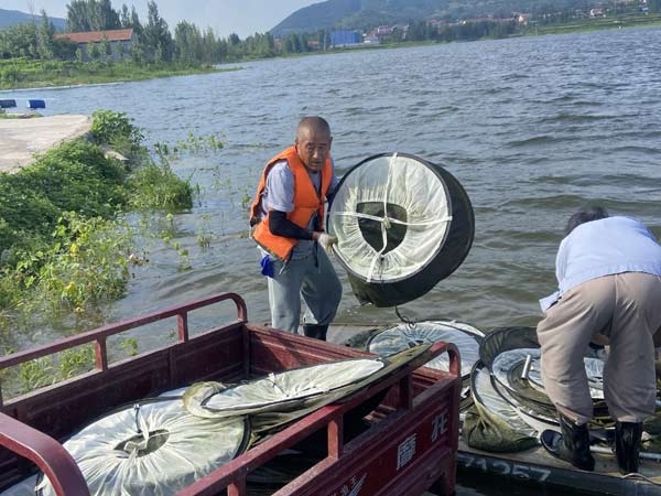 ��ֳ����