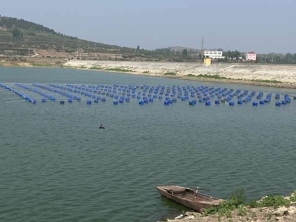 ��ֳ����