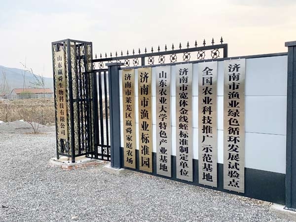 ��ֳ����