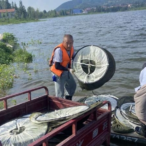 ��ֳ����