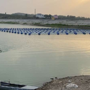 ��ֳ����