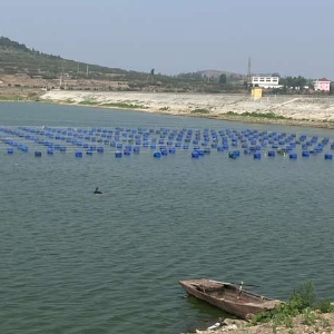 ��ֳ����