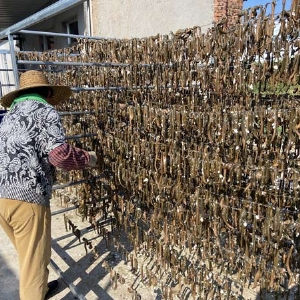 ����8��·���������Ʒ